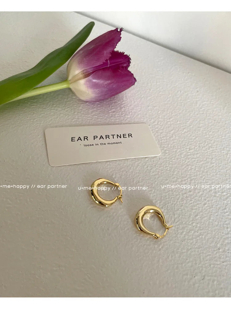 Sterling Silver Earrings Light Luxury Simple Elegant Grand Exquisite High End Fashionable Style of Earrings for Women