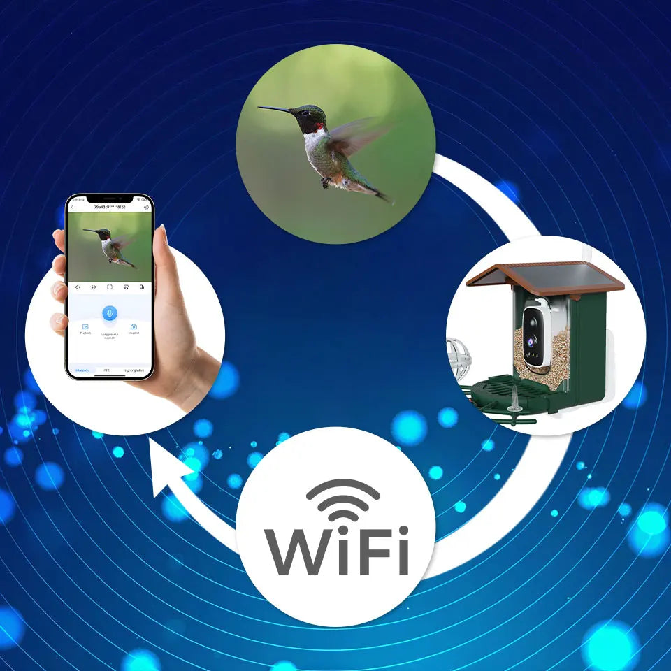 3MP Smart Bird Feeder Camera WiFi Two Way Audio Bird Identification Night Vision PIR Motion Detection For Bird Outdoor Watching