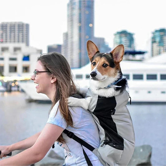 Pet Backpack Breathable Washable Shopping Backpacks Portable Durable Dog Carriers Bags Adjustable Design Pets Products