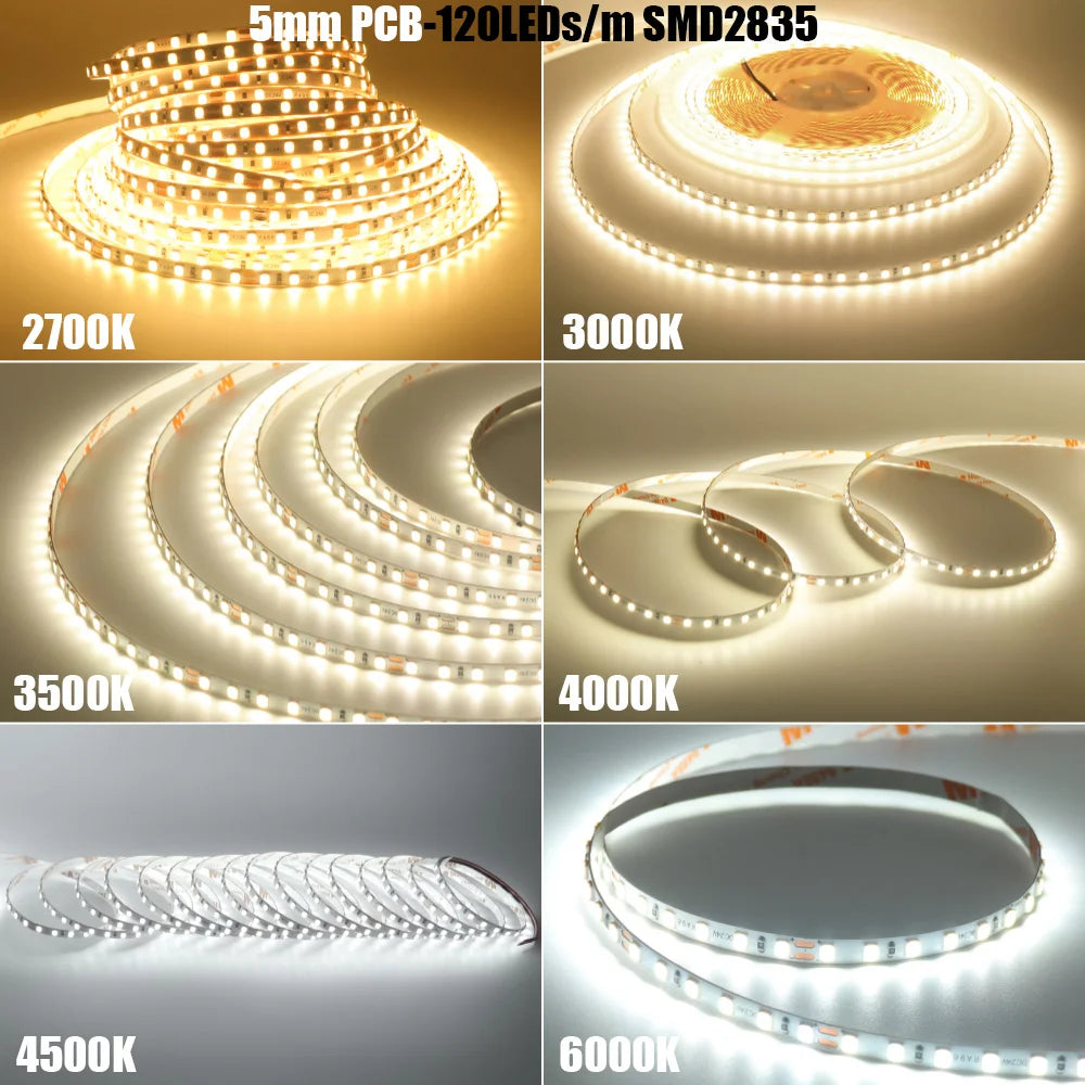 LED Strip Light RA98 5mm 8mm PCB 5m 10m 24V 2835 120 240 LEDs Flexible Adhesive Tape 2700K 3000K 3500K 4000K 5000K 6000K Decor