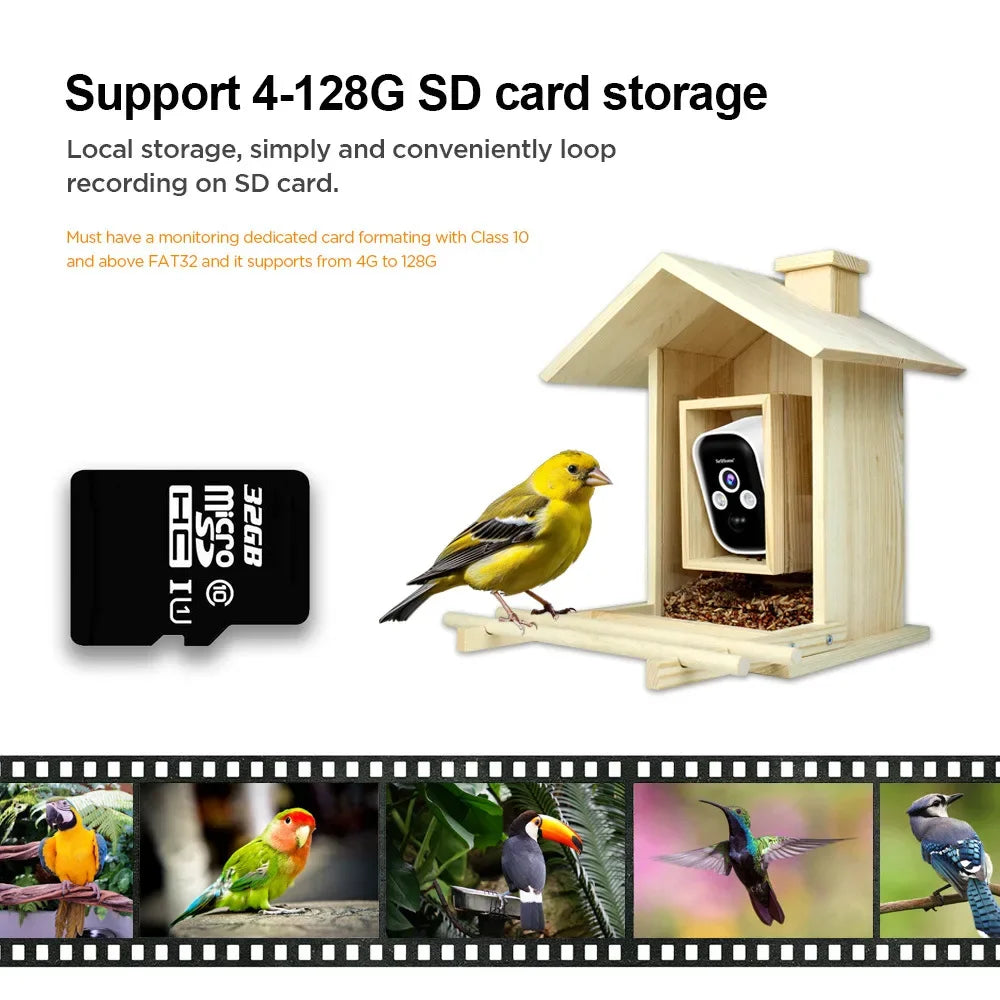 4 Million HD Camera Multifunctional Low-power Waterproof Bird Feeder With Camera