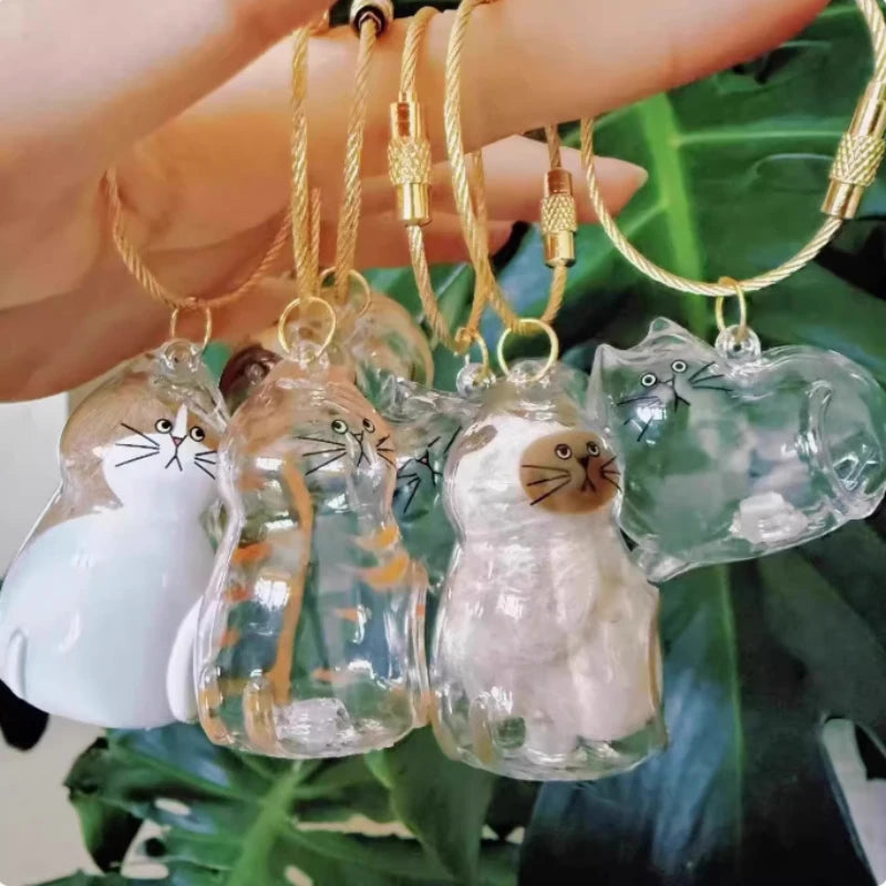 Pet Hair Keepsake Box Transparent Storage Container for DIY Decoration Memorial Gift for Pet Lovers Home Display