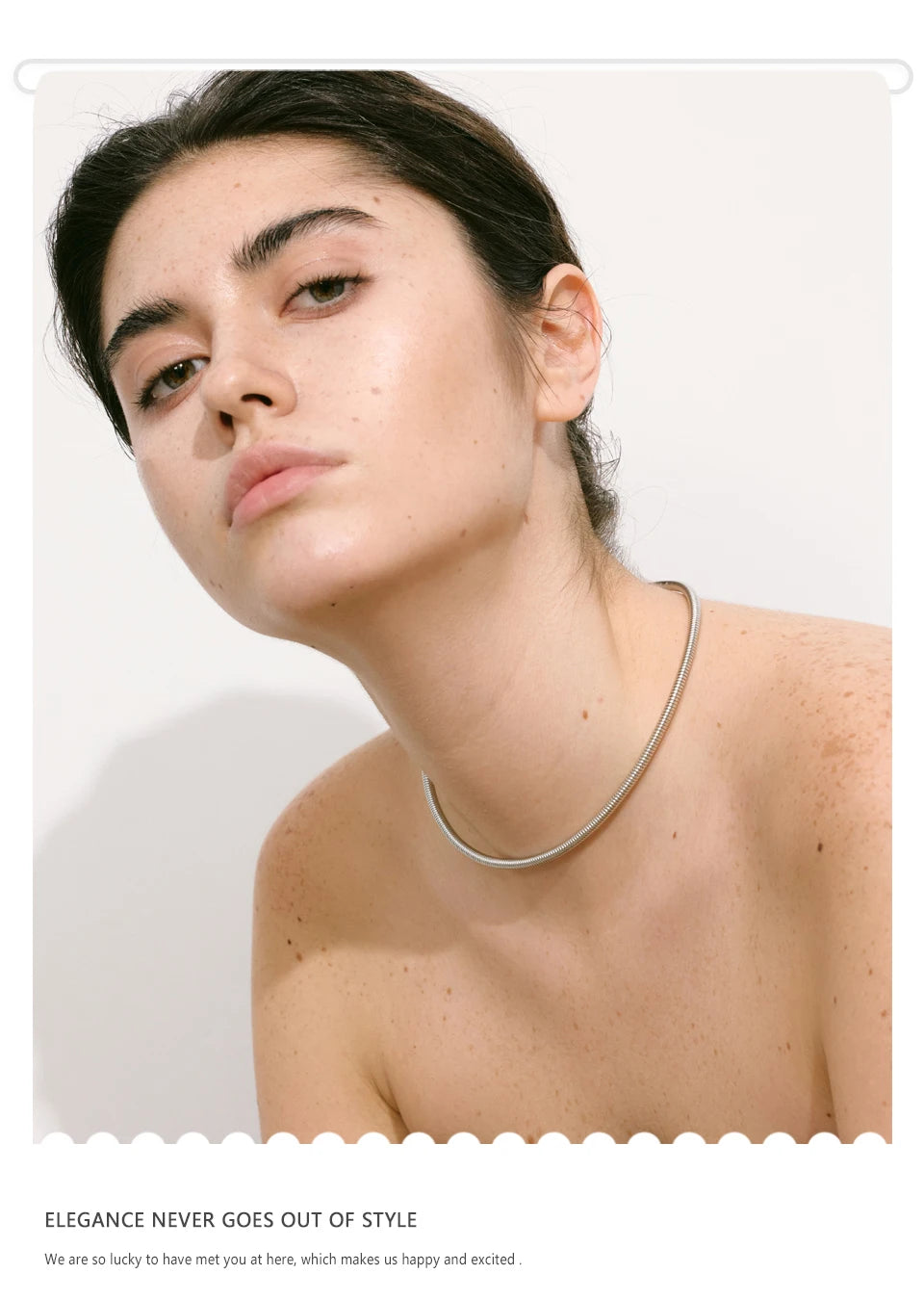 NiNice Necklace 316 Stainless Steel Snake Chain Collar 18k Plated Fashionable Simple gift Collares Para Mujer Grandes Modernos