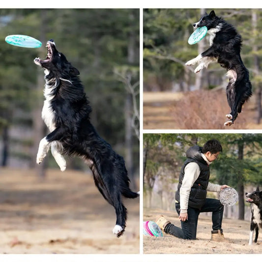 Pet Outdoor Training 24cm Dog Flying Disc Bite Resistant Colorful Dog Interactive PE Soft Dog Throwing Type Relieve Boredom