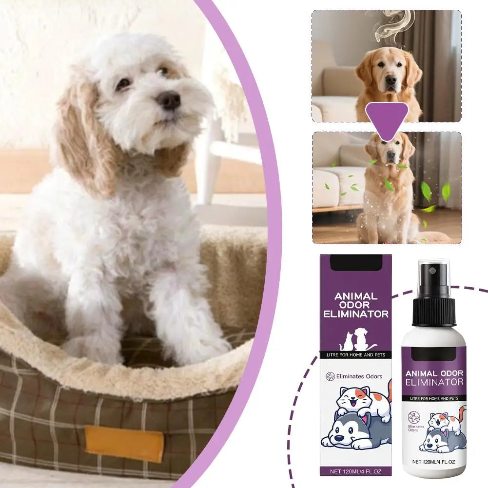 Pet Deodorizer Antibacterial cat urine dog urine cat litter deodorizer Safe hygienic Pet Deodorizer Pet's Accessories