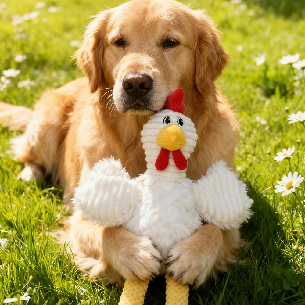 Pet Chew-Resistant Plush Interactive Toy with Sound, Cartoon Rooster Design, Suitable for Large, Medium, and Small Pets Such as Cats and Dogs, Double-Layer Fabric, Built-In Airbag