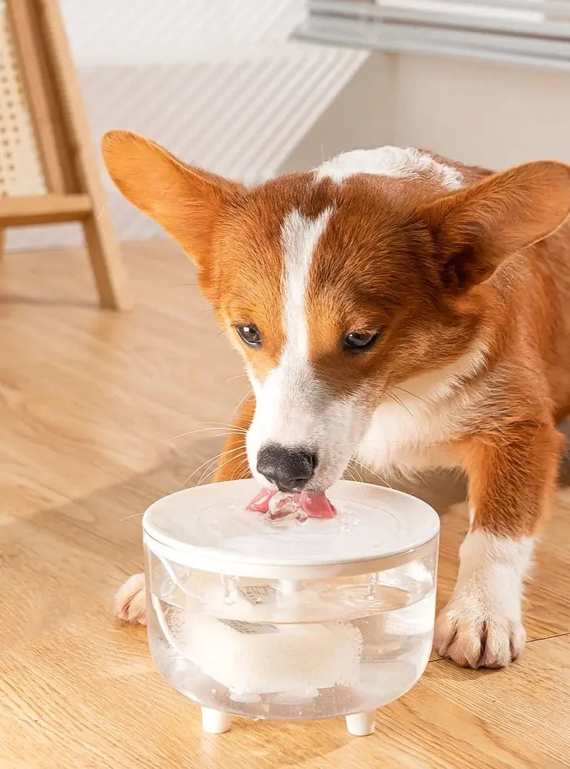 1L USB Pet Water Fountain with Pump & Filter Anti-Dry Burning Cat Water Dispenser Auto Recirculating Pet Water Flow Drinker