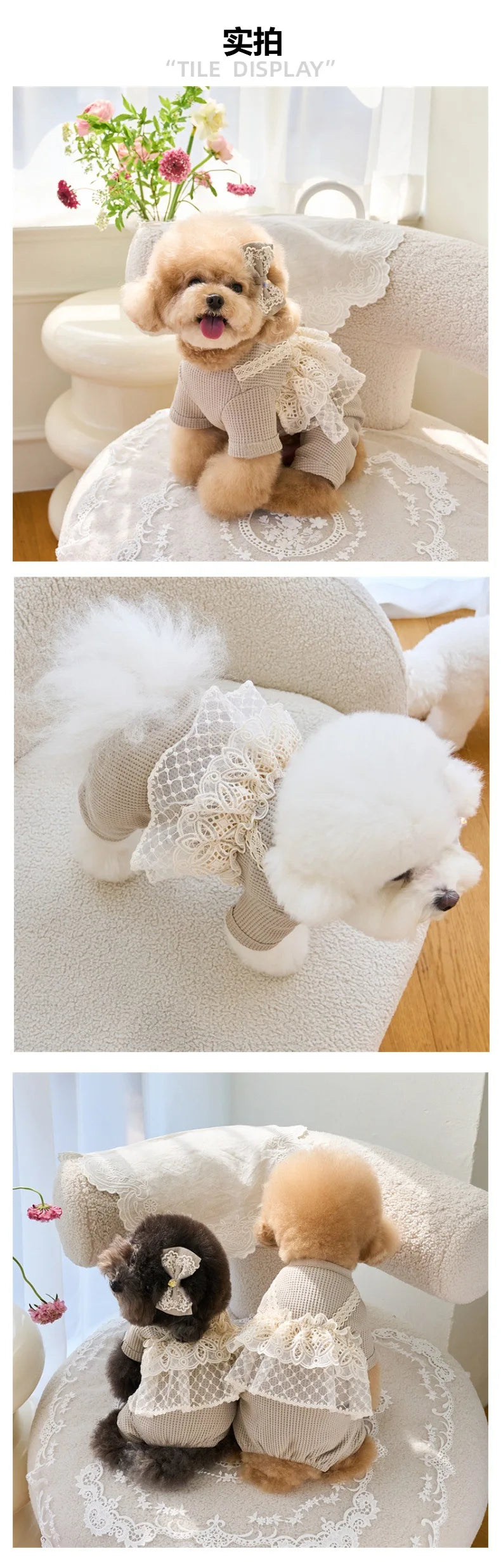 Pet Spring Jumpsuit Cute Lace Camisole Puppy Teddy Cat Waffle Lace Four Legged Coat Small Dog Puppy Clothes Dog Pajamas
