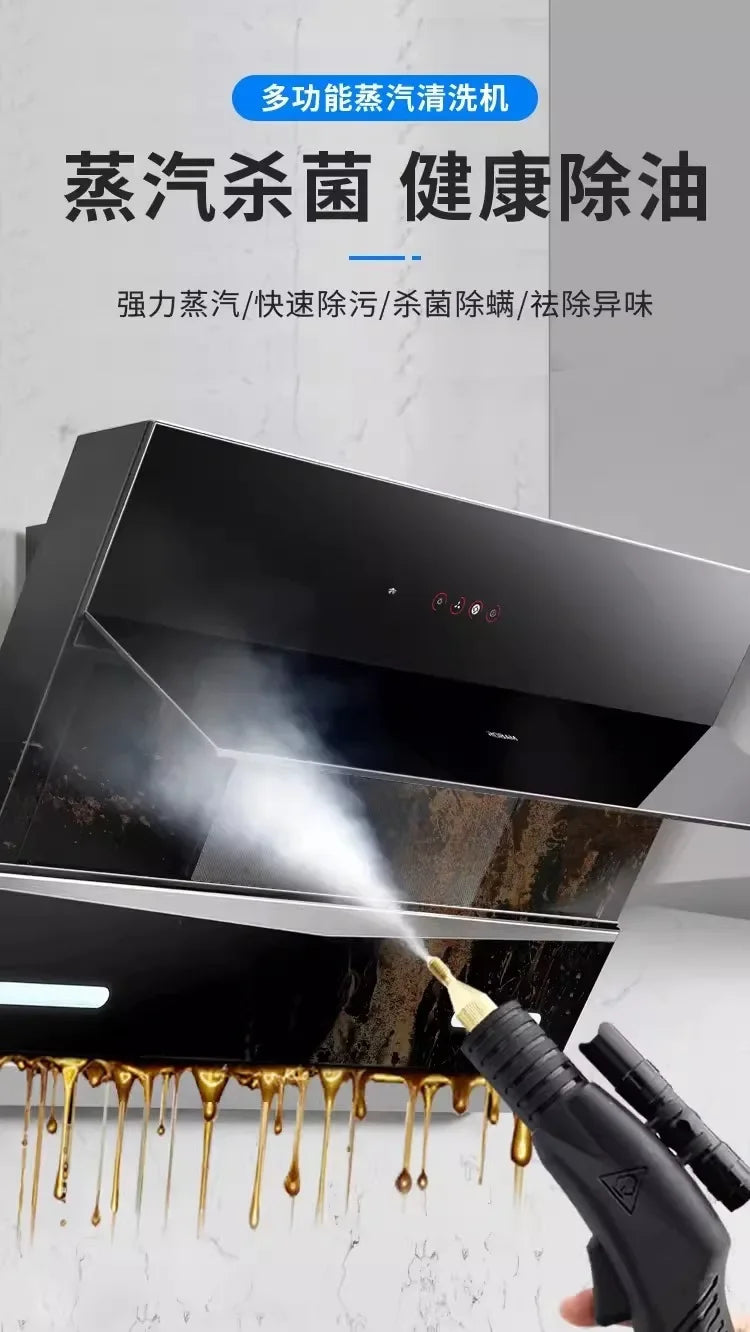 220V Steam Cleaner High Pressure Multi Function Washer for Home Appliances and AC Cleaning AF