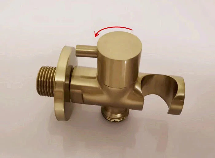 Brass Hand held black Bidet Shower set  Perforating Toilet Jet Cleaner Portable brushed gold and gray Bidet Shower Head BD01