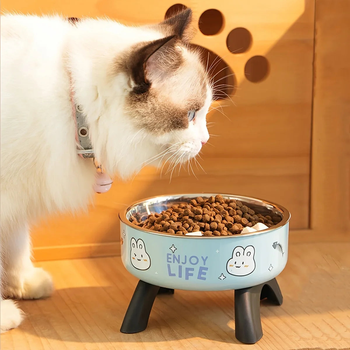 Stainless Steel Pet Bowl – Anti-Tip Elevated Design with Non-Slip Silicone Base & Chew-Proof Edge for Small Cats/Dogs Feeding