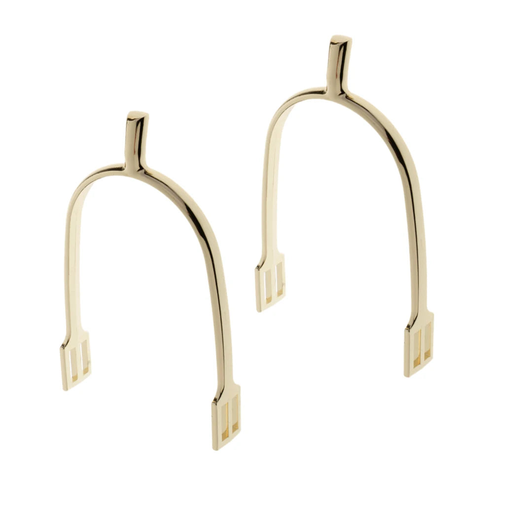 1Pair Zinc Alloy Horse Spurs Horse Riding Equestrian Training Spur for Riding Boots Outdoor Equestrian Sports Accessories