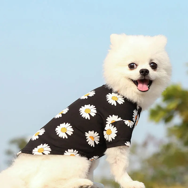 Pet Puppy T Shirt Vest Pet Clothes Spring and Summer New Style Travel Printed Short Sleeve Tshirt Clothes Small Medium Dogs