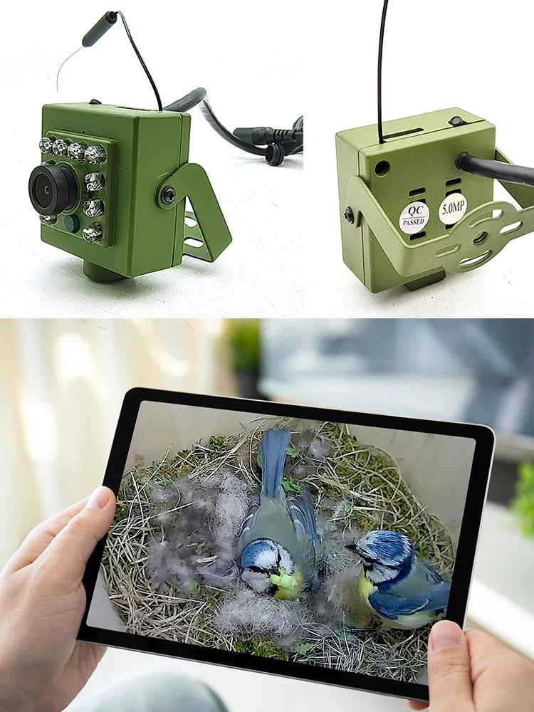 Camhi Green Wifi Bird Box Camera Kit RTMP Live Audio 1920P 1080P IR CUT Night Vision RTSP FTP Mini IP IPC Pet Nest Bird Watching