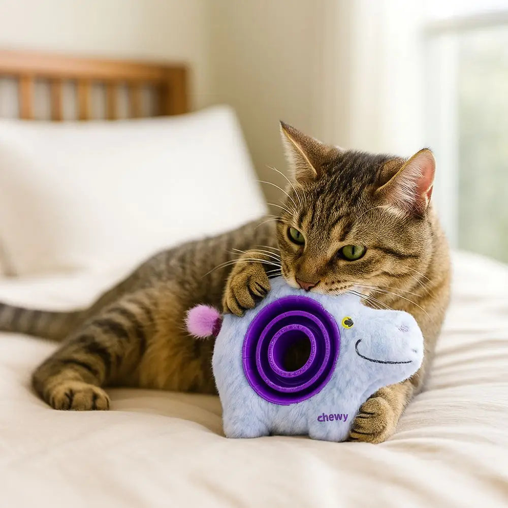 Pet Supplies Bite Resistant Dog Leaking Food Toy Animal Shape Wear-resistant Pet Training Toys Plush TPR Pet Sounds Toys Outdoor