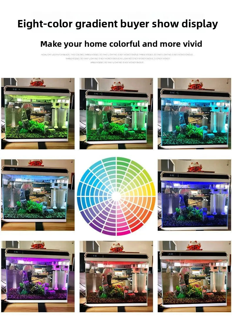 Creative Small Desktop Aquarium, Ecosystem Fish Tank for Office Home Desk Decoration, Mini Glass Tank