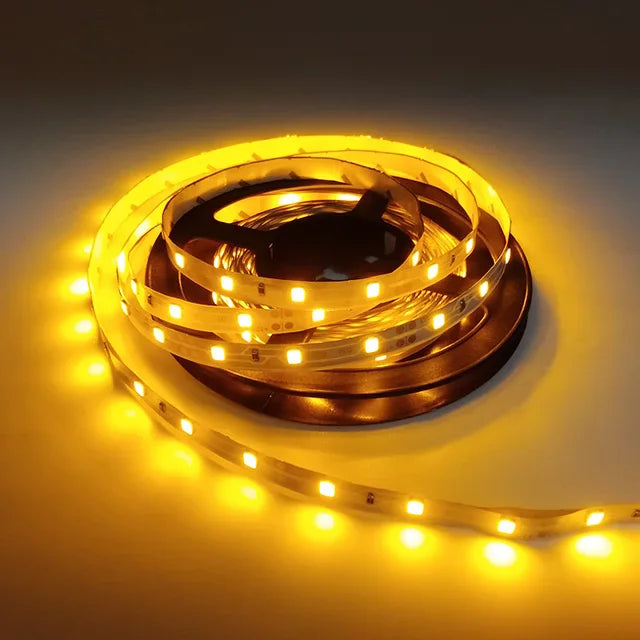 Led Strip Light 5M 300Leds SMD2835 12V White Warm Red Green Blue RGB Luces Led Light Waterproof Flexible Lamp Tape for Room Deco