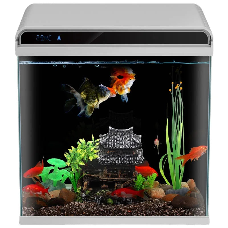 Creative Small Desktop Aquarium, Ecosystem Fish Tank for Office Home Desk Decoration, Mini Glass Tank