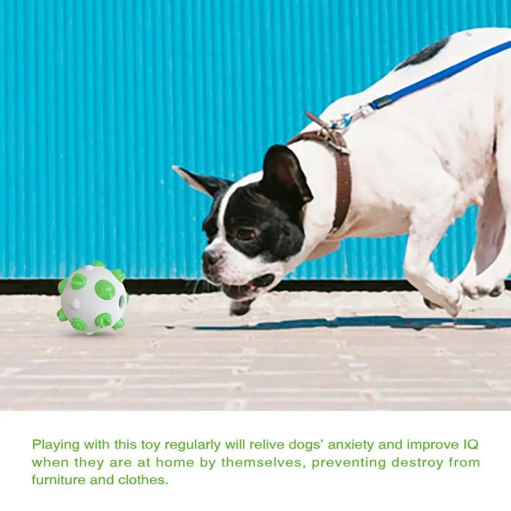 Pet Supplies Bite Resistant Pet Toy Ball TPR Wear Resistant Dog Chew Toy Non-slip Pet Teeth Cleaning Ball for Dogs Puppy Cats