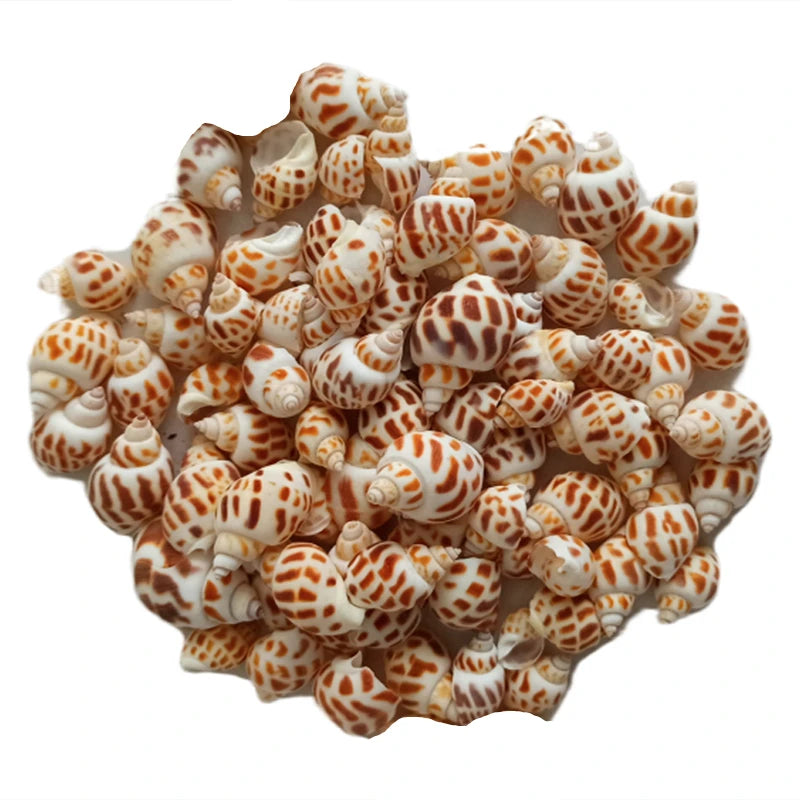 Aae Ball Aquarium Decoration Coral Micro Lacape Eco-Friendly Fi Tank Accories Toy Figurine Boat Garden Decoration