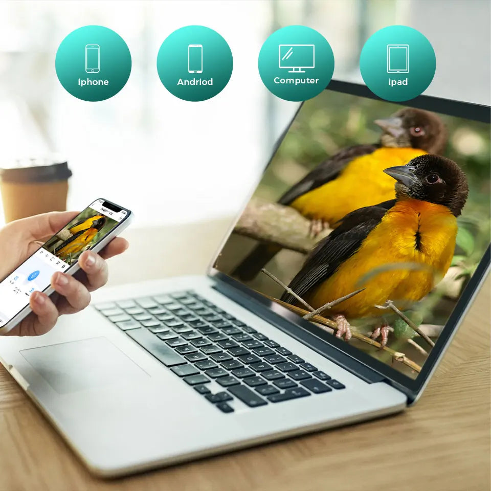 3MP Smart Bird Feeder Camera WiFi Two Way Audio Bird Identification Night Vision PIR Motion Detection For Bird Outdoor Watching