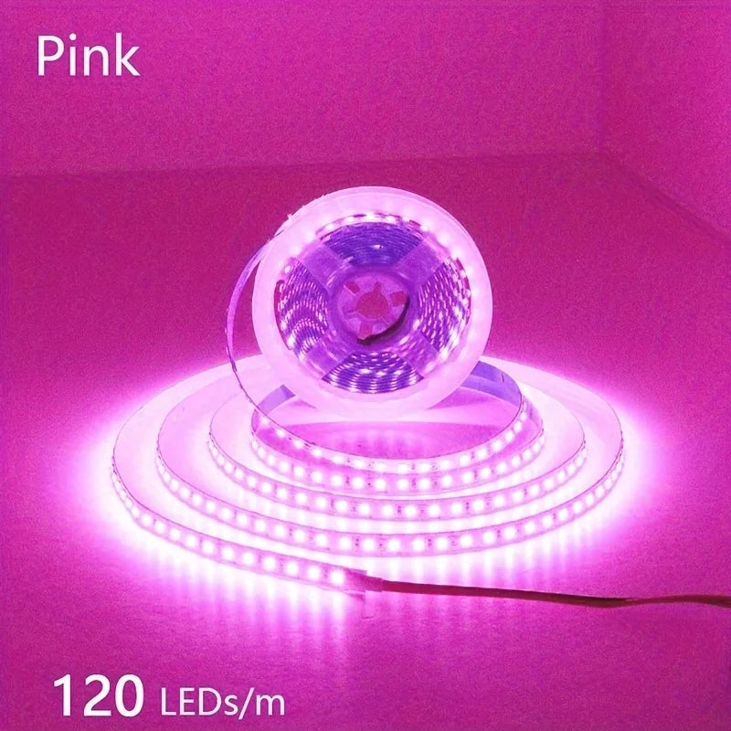 12V Led Strip Light, 8mm Wide, 120 Leds/M, Total 600 Leds, Warm White 3000K/Natural Light 4000K/Red Light/Green Light/Blue Light/Pink Light/Gold Light Tape Light, Under-Cabinet Light, 16.4 Feet (Approximately 5m) Led Strip Li