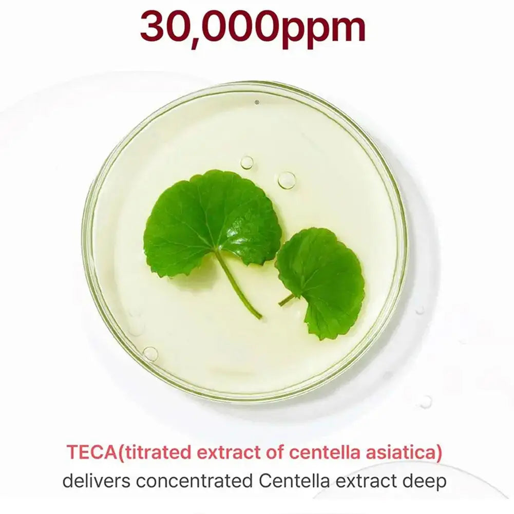 Centella Asiatica Face Moisturizing Cream Deeply Nourishing Firming Skin Smoothing Anti-Wrinkles Skin Care