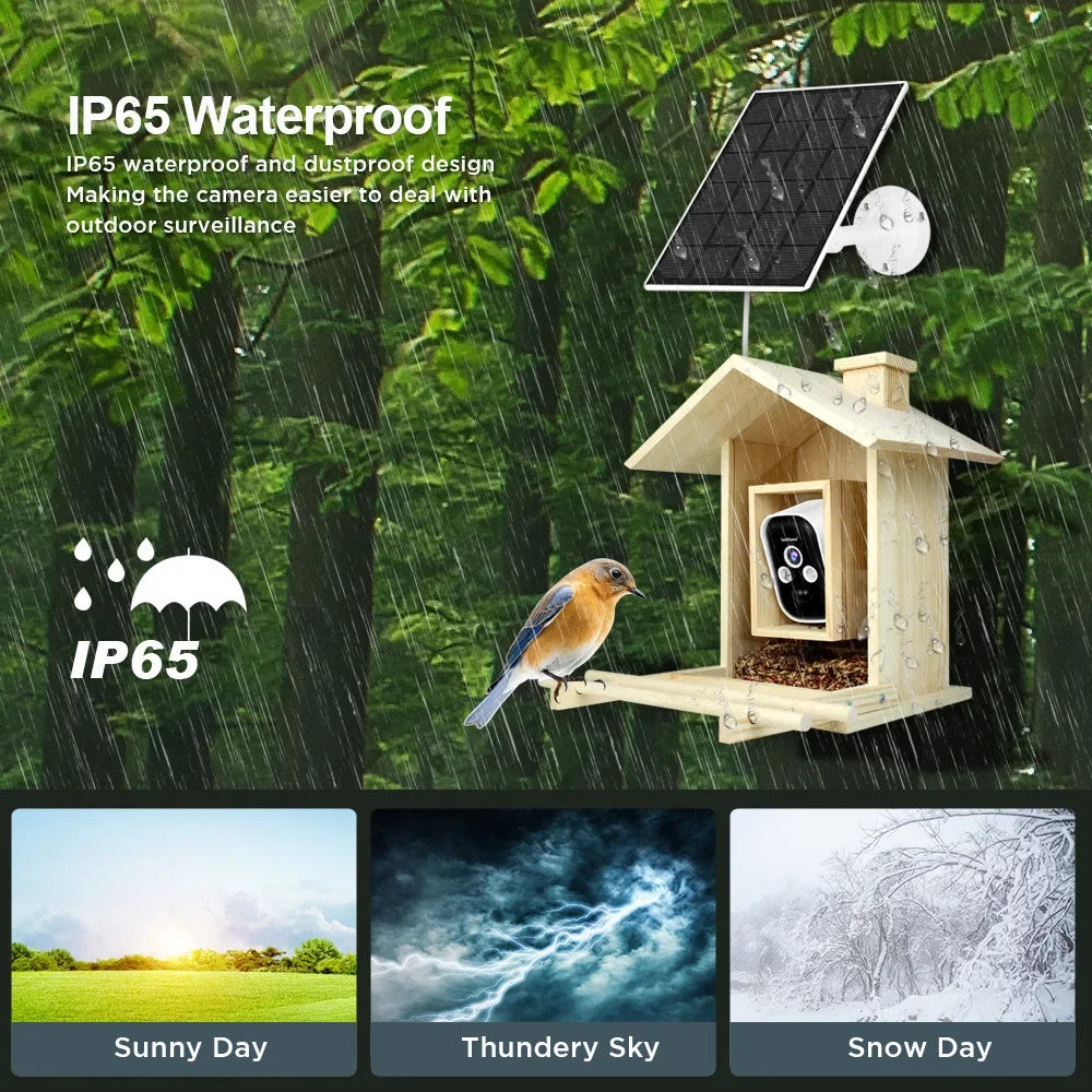 4 Million HD Camera Multifunctional Low-power Waterproof Bird Feeder With Camera