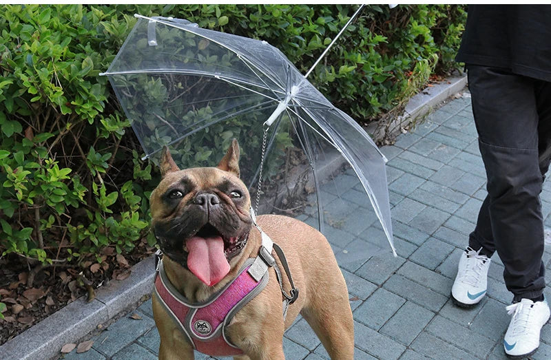 Pet Umbrella Teddy Small Dog Umbrella with Traction Dog Chain Walking Umbrella Rainy Travel Convenient Dog Raincoat Umbrella