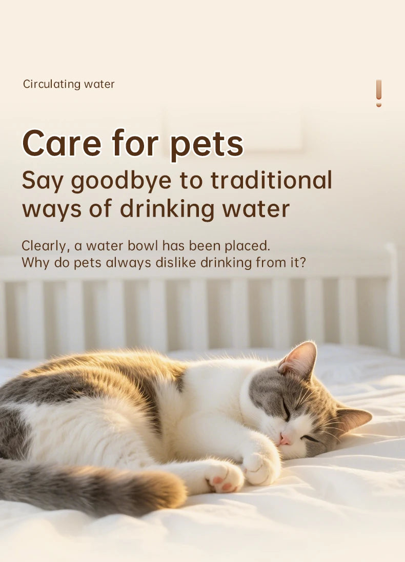 Pet water dispenser, intelligent water feeder, circulating fresh water, purified water filtration, cat and dog water dispenser