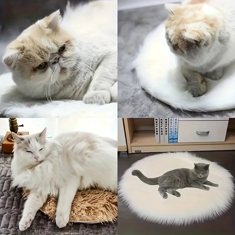 Pet Heating Pad, Electric Warm Mat for Cats and Dogs, Thermostatic & Waterproof, Chew-Resistant & Shock-Proof,  Pet Heater Bed