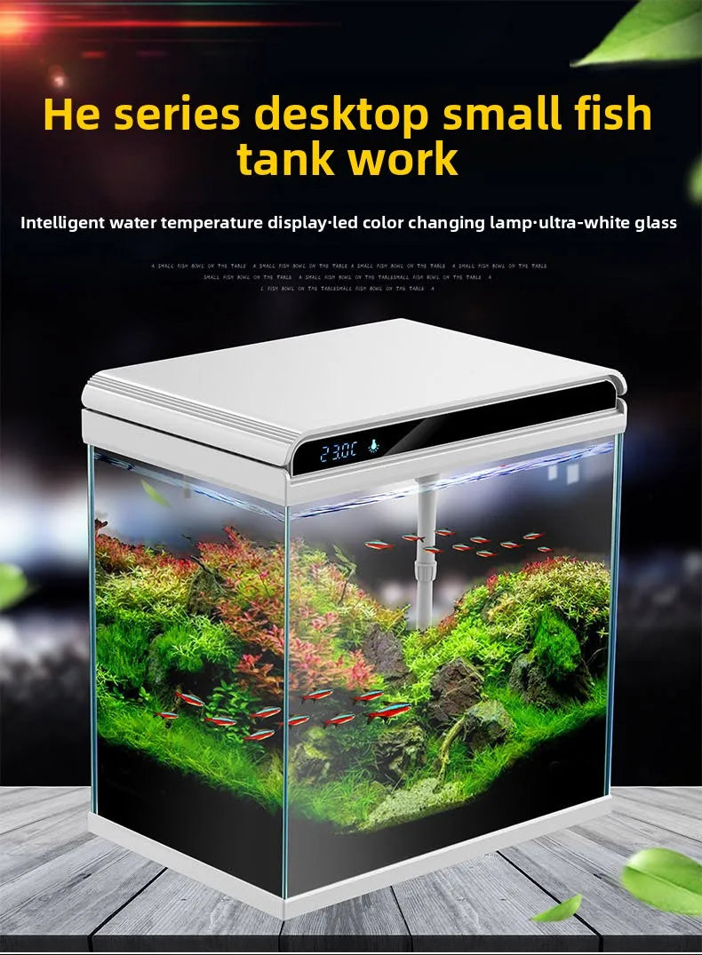 Creative Small Desktop Aquarium, Ecosystem Fish Tank for Office Home Desk Decoration, Mini Glass Tank