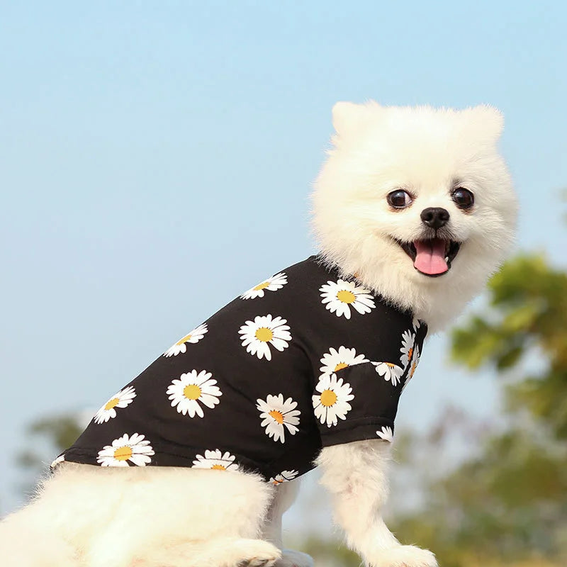 Pet Puppy T Shirt Vest Pet Clothes Spring and Summer New Style Travel Printed Short Sleeve Tshirt Clothes Small Medium Dogs