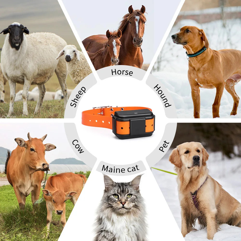 Smart 4G GPS Tracker And Electronic Fence GPRS Navigation And Positioning Historical Track Feature GPS Tracker