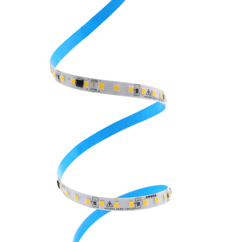 10m 20m 50m 220V 2835 LED Strip Light No Need Driver High Bright 120LEDs/M Flexible Tape Lights IP44 Waterproof Home Lighting
