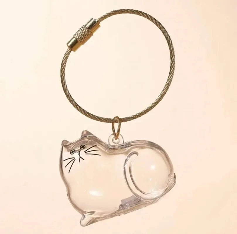 Pet Hair Keepsake Box Transparent Storage Container for DIY Decoration Memorial Gift for Pet Lovers Home Display