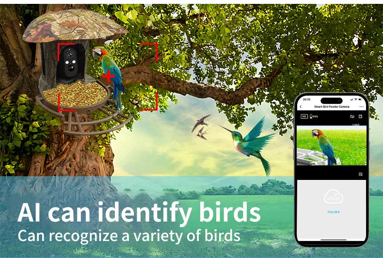 3MP 1296P I-Cam+ APP  Bird Feeding  Solar Battery  Power  IP Camera AI Outdoor Watch Bird Feeder Long Time Standby CCTV Monitor