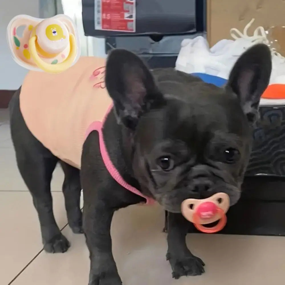 Bite Resistant Pet Silicone Pacifier Silicone Soft Clean Teeth Puppy Toys Cat Pacifier Chewing Pacifier Dogs Toys