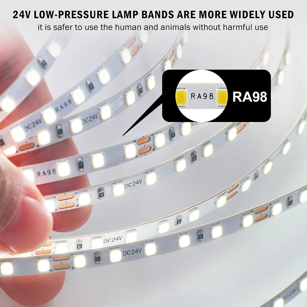 LED Strip Light RA98 5mm 8mm PCB 5m 10m 24V 2835 120 240 LEDs Flexible Adhesive Tape 2700K 3000K 3500K 4000K 5000K 6000K Decor