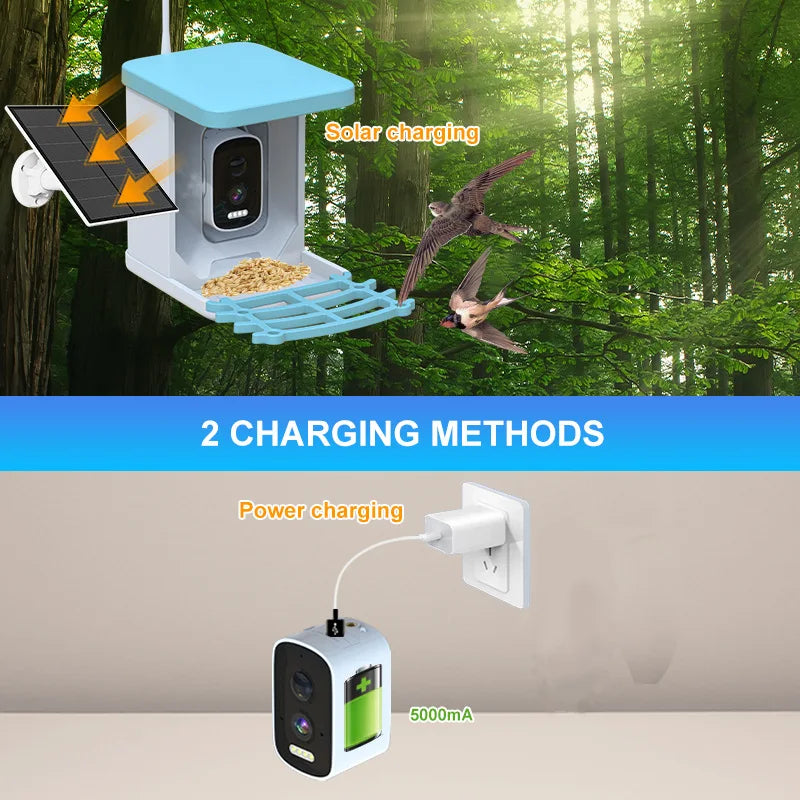 Smart Bird Feeder with Camera Solar Powered LifeNest Wireless Outdoor 4MP HD Auto Capture Videos Hummingbird Real Time Views