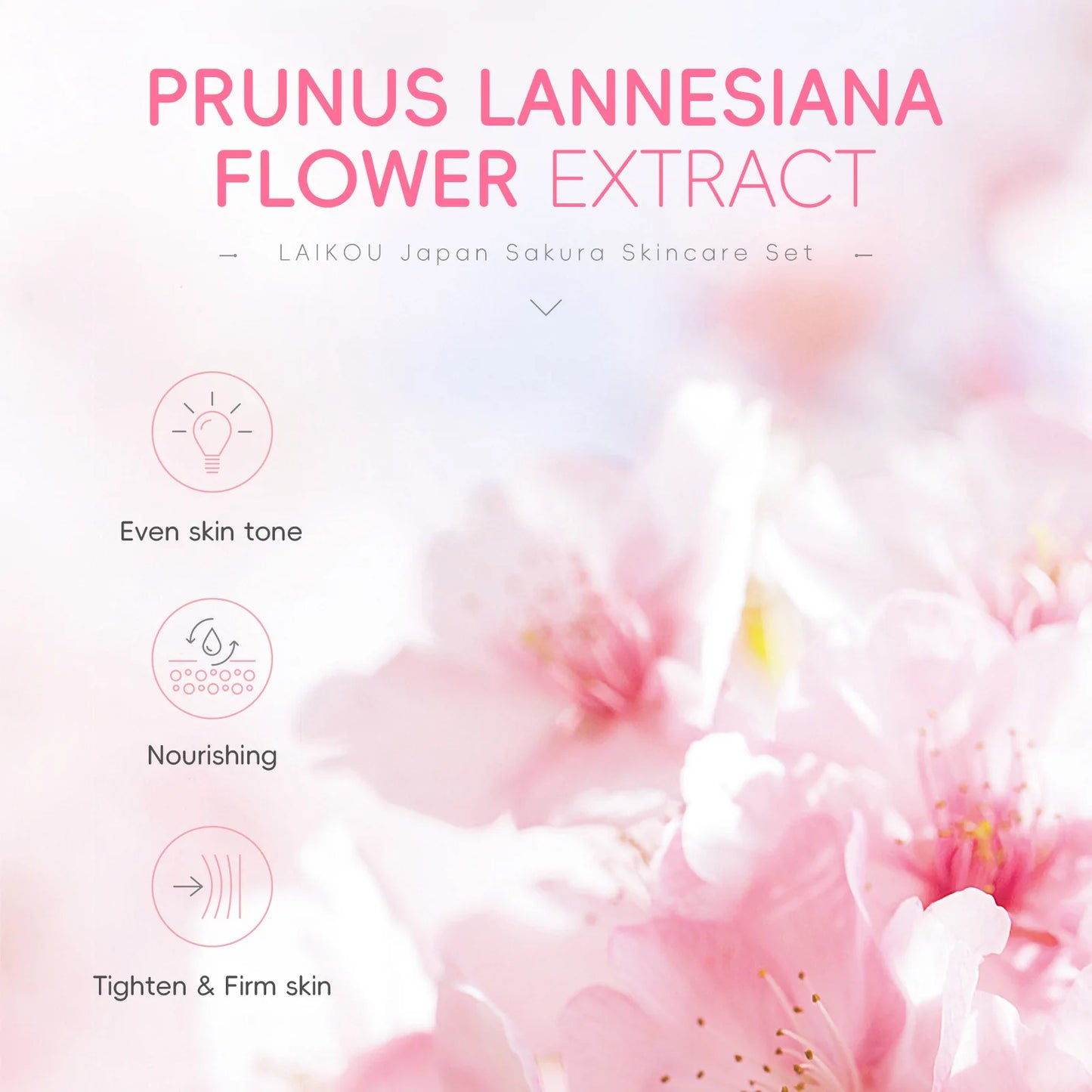 Japan Sakura Skincare Set 4pcs Hydrating Tightening Cleanser Serum Essence Cream Eye Treatment Soften Clean Skin Beauty