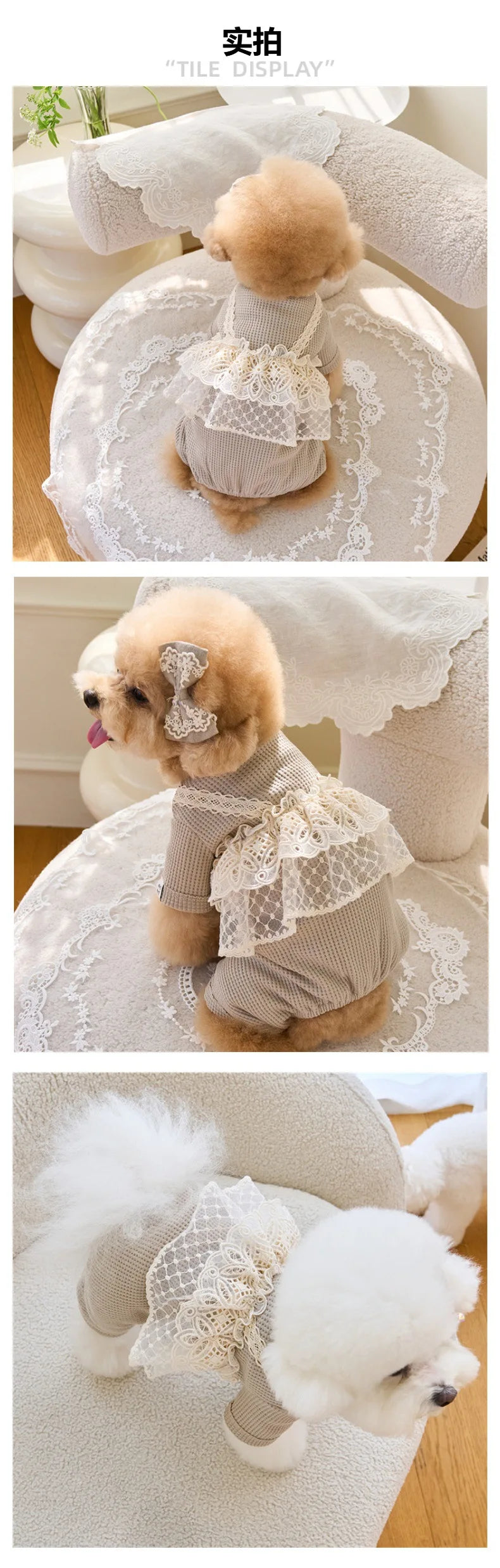 Pet Spring Jumpsuit Cute Lace Camisole Puppy Teddy Cat Waffle Lace Four Legged Coat Small Dog Puppy Clothes Dog Pajamas