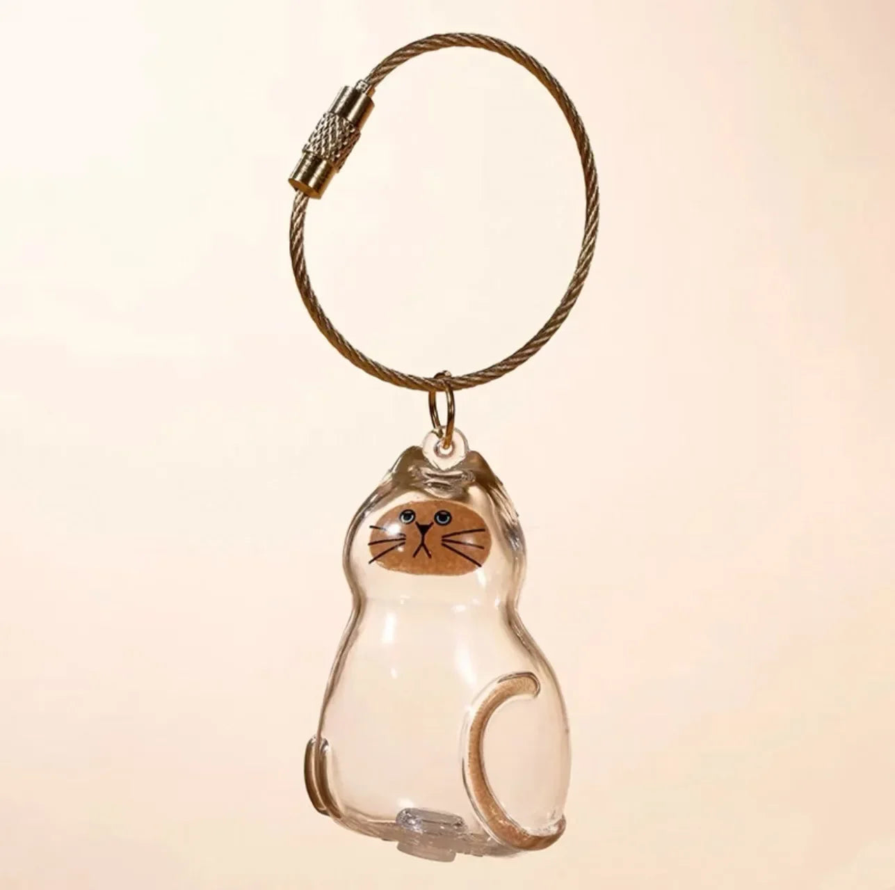 Pet Hair Keepsake Box Transparent Storage Container for DIY Decoration Memorial Gift for Pet Lovers Home Display