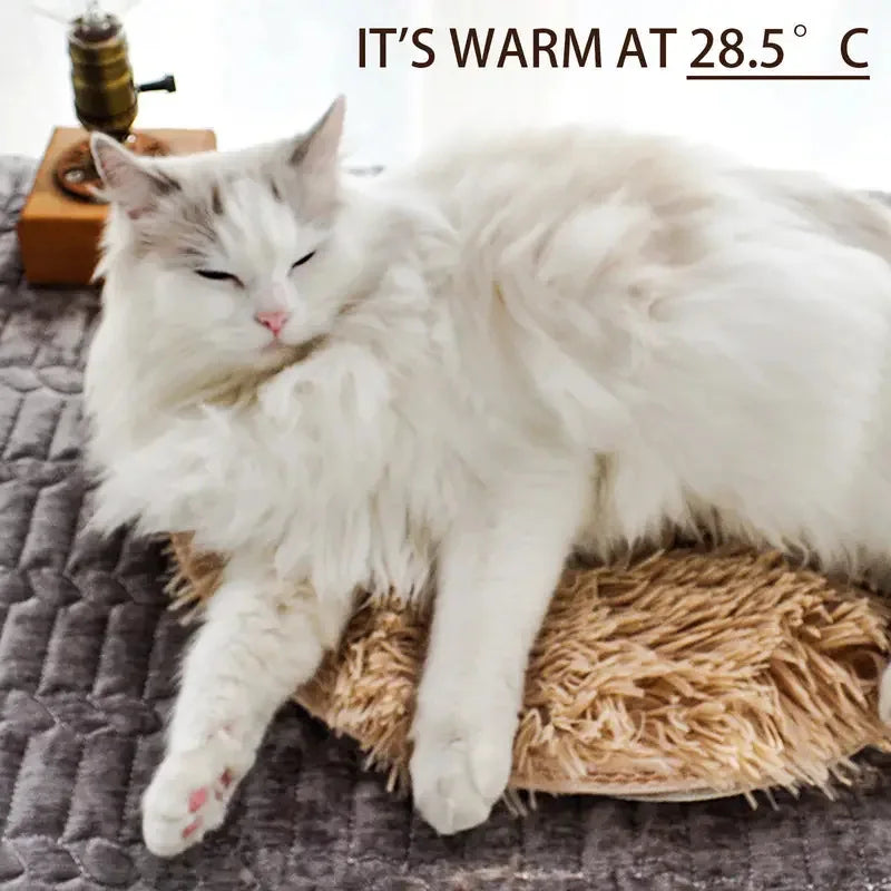 Pet Heating Pad, Electric Warm Mat for Cats and Dogs, Thermostatic & Waterproof, Chew-Resistant & Shock-Proof,  Pet Heater Bed