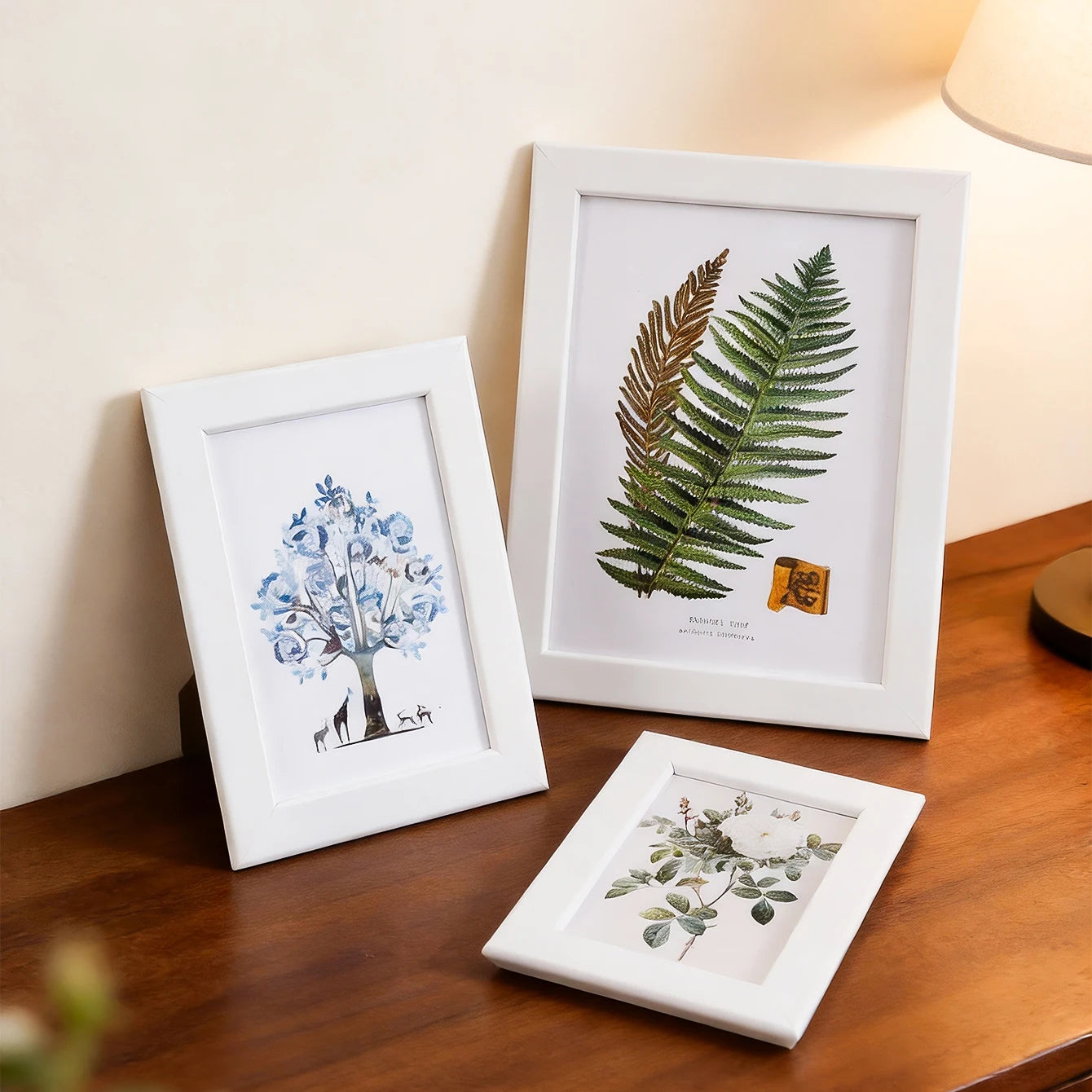 Multi-size tabletop photo frames for displaying 5, 6, 7, and 8-inch photos, suitable for placement in living rooms, bedrooms