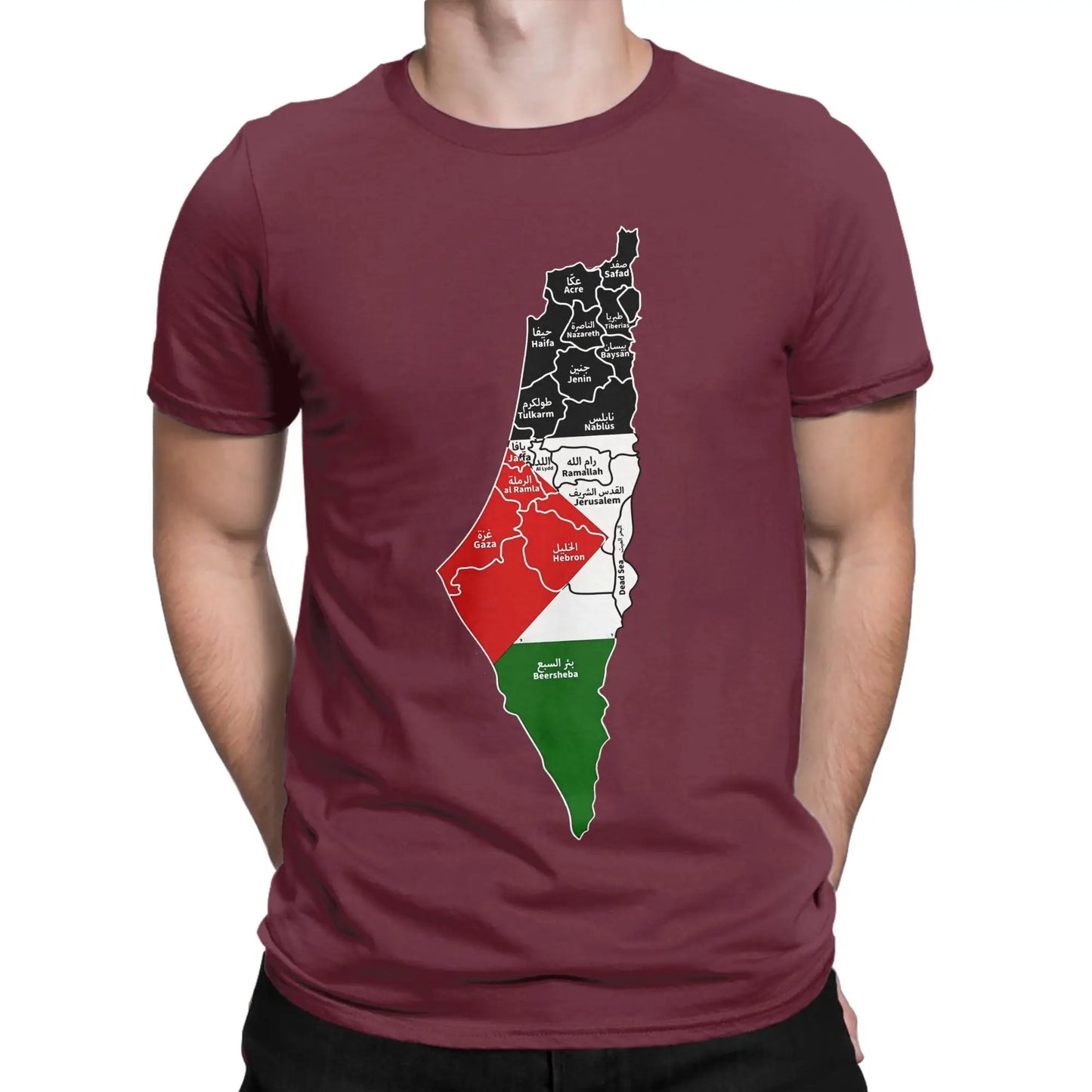 Palestine Map T Shirt for Men Cotton Vintage T-Shirts Round Collar  Tees Short Sleeve Clothes Gift