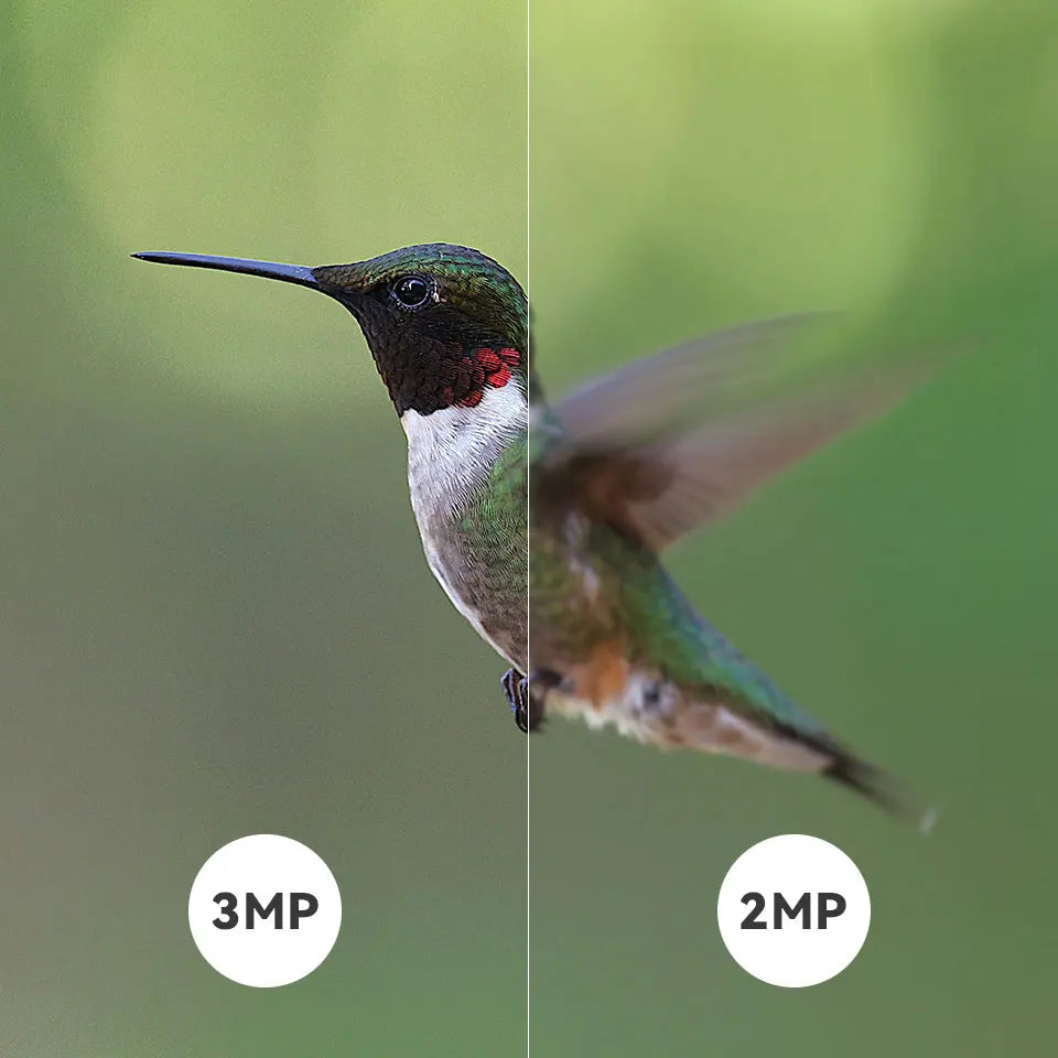 3MP Smart Bird Feeder Camera WiFi Two Way Audio Bird Identification Night Vision PIR Motion Detection For Bird Outdoor Watching