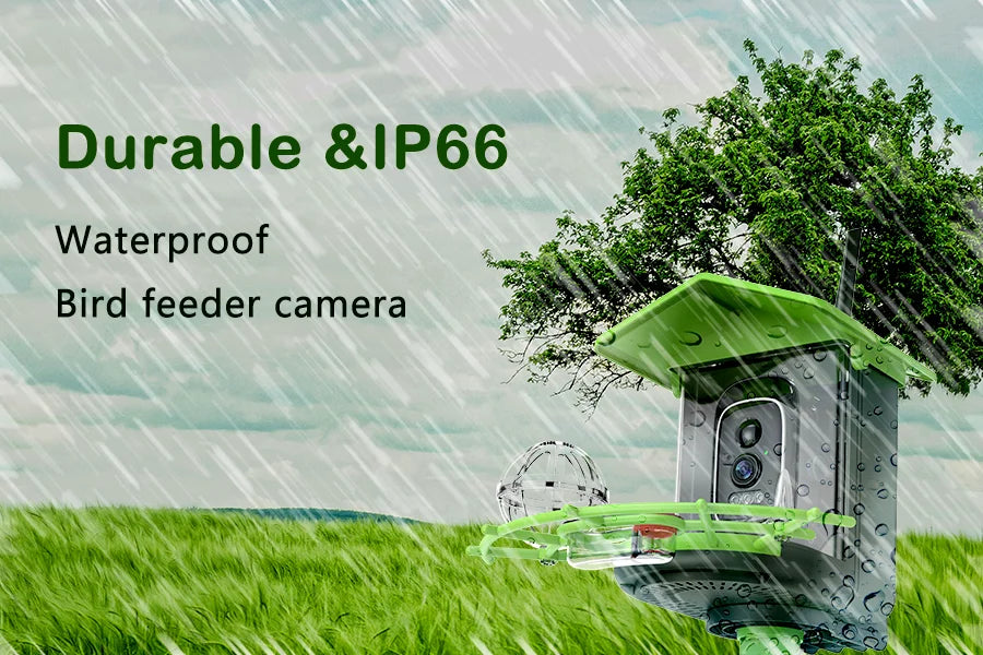 Bird Feeder Camera 4MP 2K HD Bird Video Capture WiFi Solar Powered Camera Battery with Solar Panel, Instant Alerts, Birdwatching