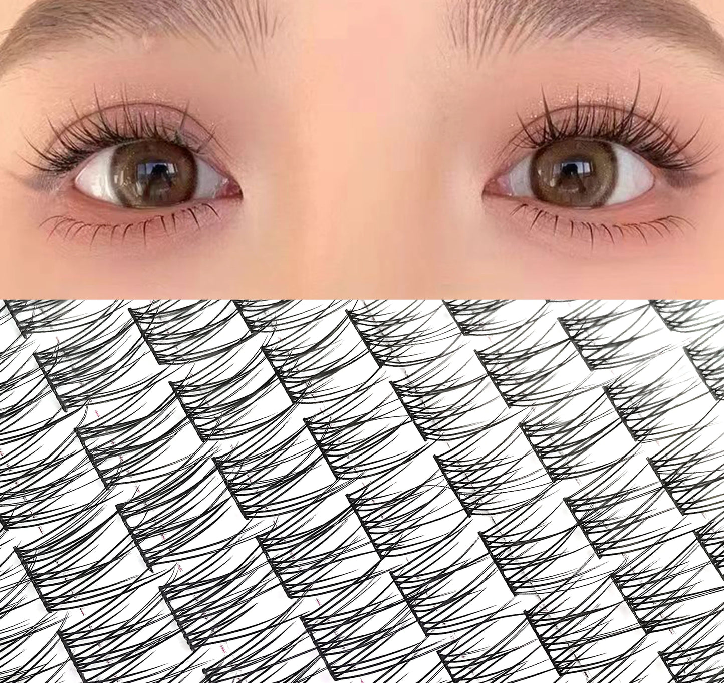 Jen Lily Glue-free False eyelashes: A Lazy Person's Trilogy - Natural and Seamless Beginner's Sunflower Eyelashes
