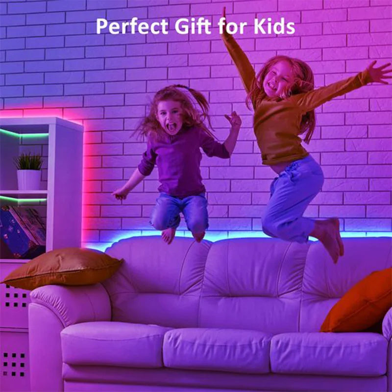 LED Strips Infrared Control Neon Ice Lights TV Backlight Room Decor SMD5050 USB Bedroom Decoration 1m 2m 3m 4m 5m Luces LED